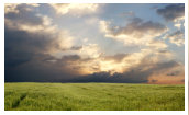Landschaft